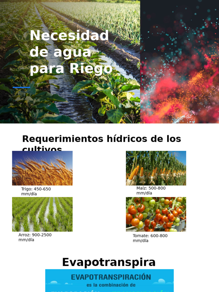 Agua para La Necesidad de Riego | PDF | Evapotranspiración | Ciencias ...