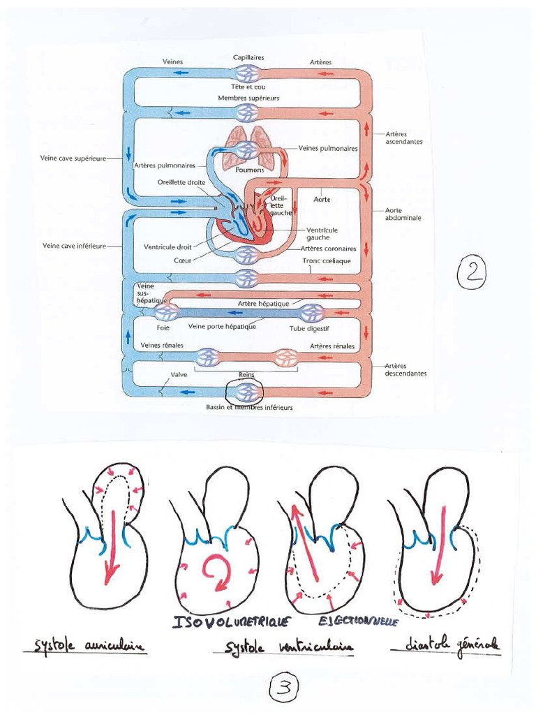 Fig 2-3 | PDF