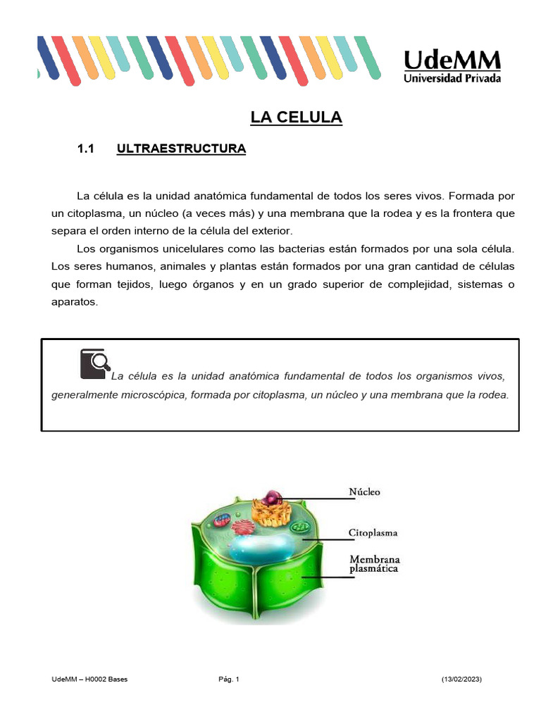 Estructura y Tipos de Células | PDF | Biología Celular) | Citoplasma