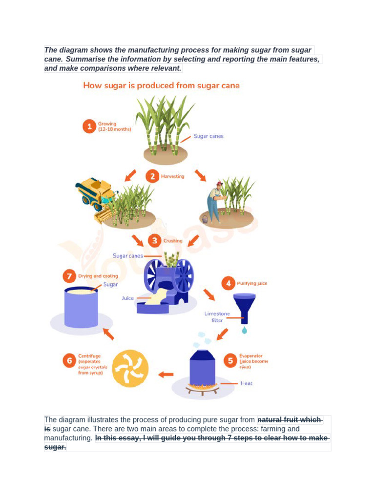 The Diagram Shows The Manufacturing Process For Making Sugar From Sugar ...