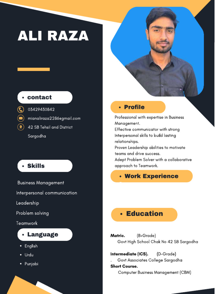 Ali Raza | PDF