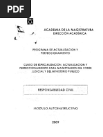 Dc x Responsabilidad Civil - Academia de La Magistratura - 2009
