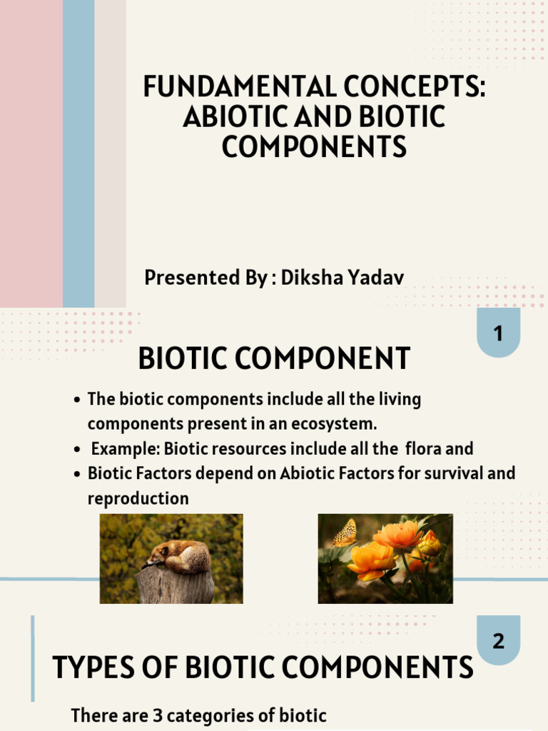 Biotic and Abiotic Components Explained | PDF