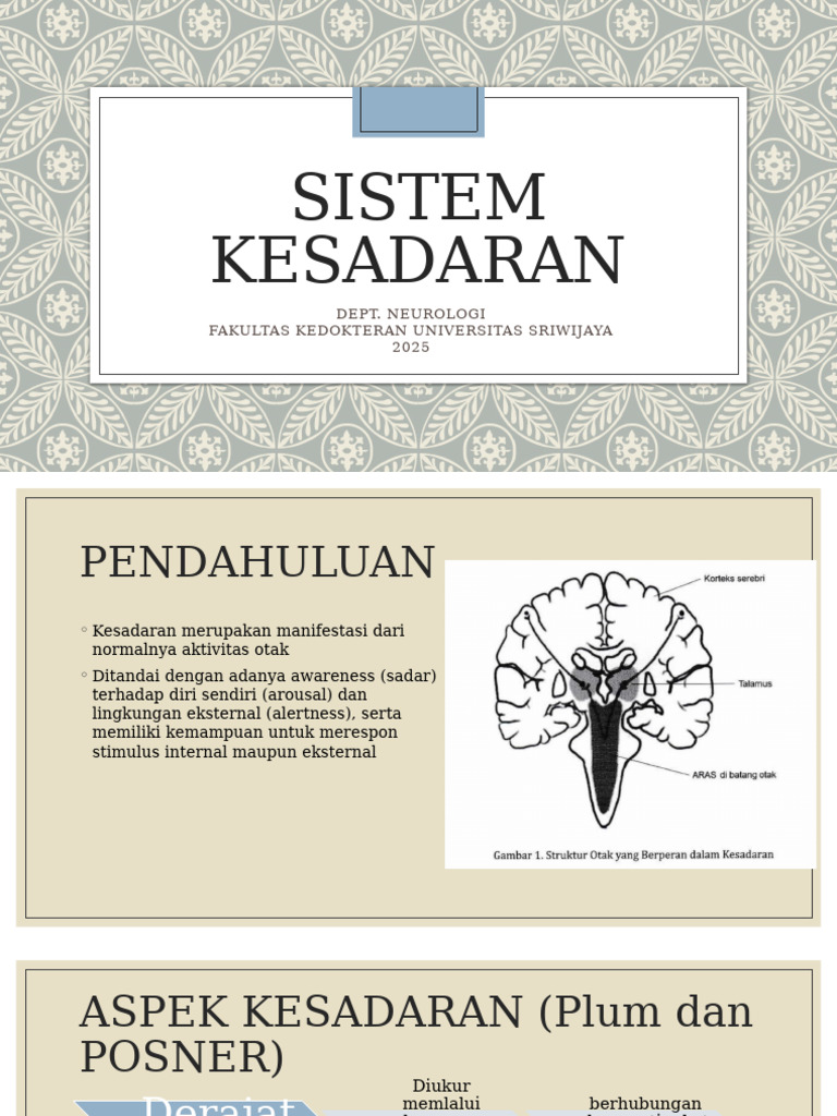 Sistem Kesadaran 2025 Pdf