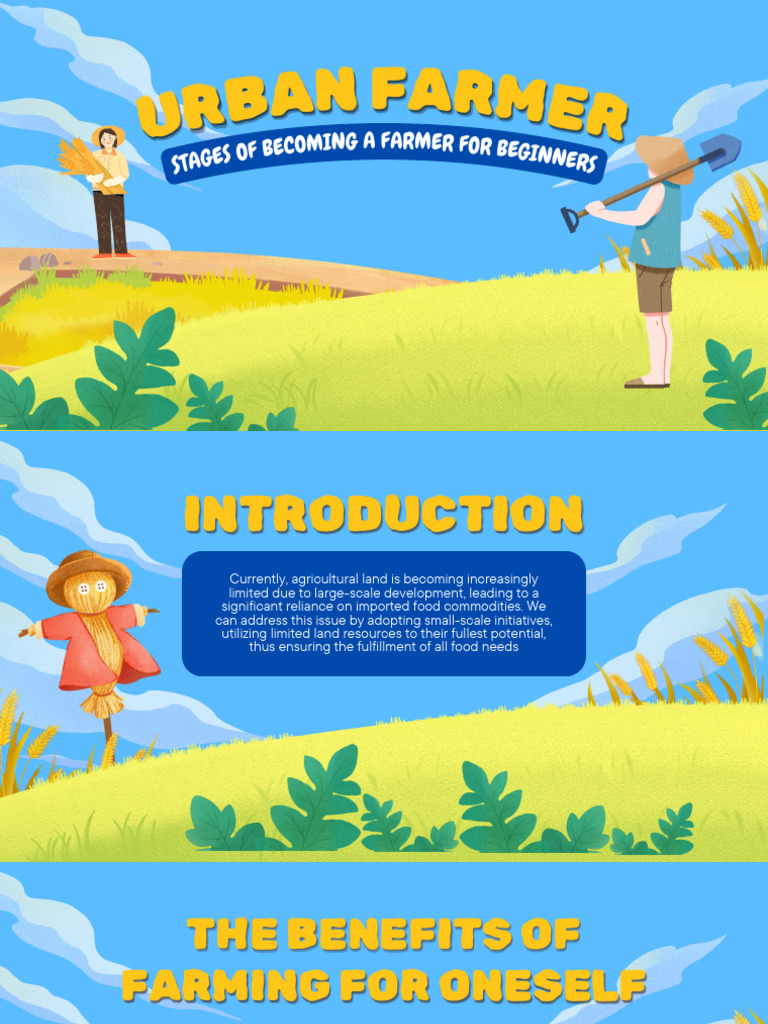 Beginner's Guide to Urban Farming | PDF