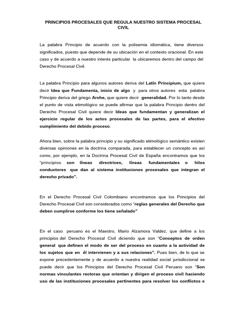 Principios del Derecho Procesal Civil | PDF | Ley procesal | Debido al ...