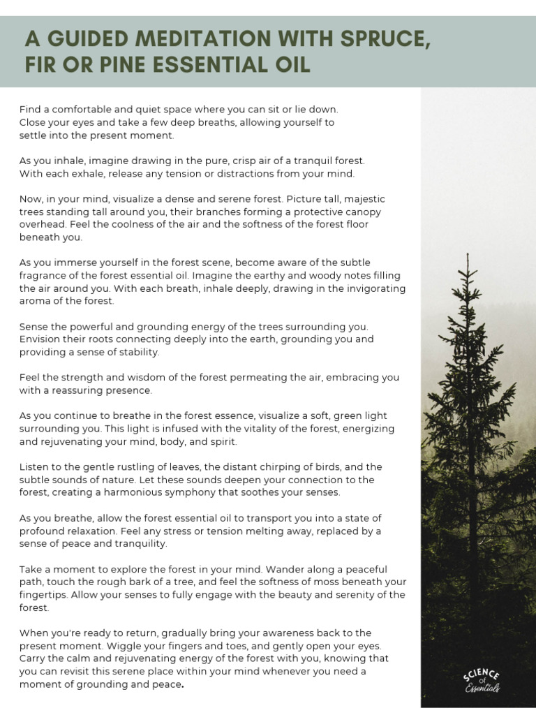 Forest Bathing Guided Meditation Script | PDF