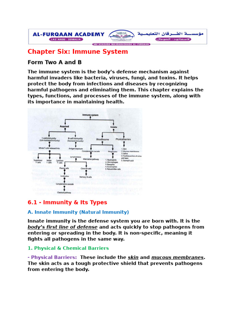 Understanding the Immune System Basics | PDF | Immune System | Adaptive ...