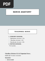 Field Block Anesthesia Techniques | PDF | Anesthesia | Injection (Medicine)