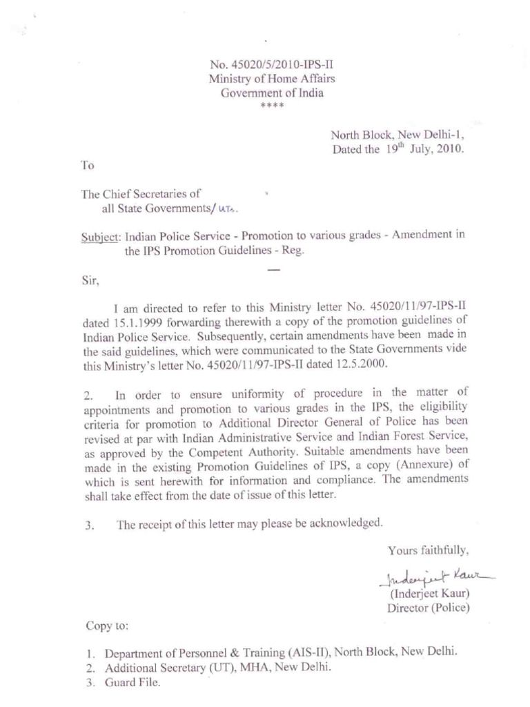 IPS Promotion Guidelines 19.7.2010 | PDF