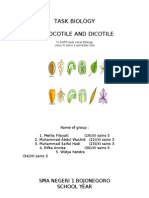 Task Biology Monocotile and Dicotile: Sma Negeri 1 Bojonegoro School Year