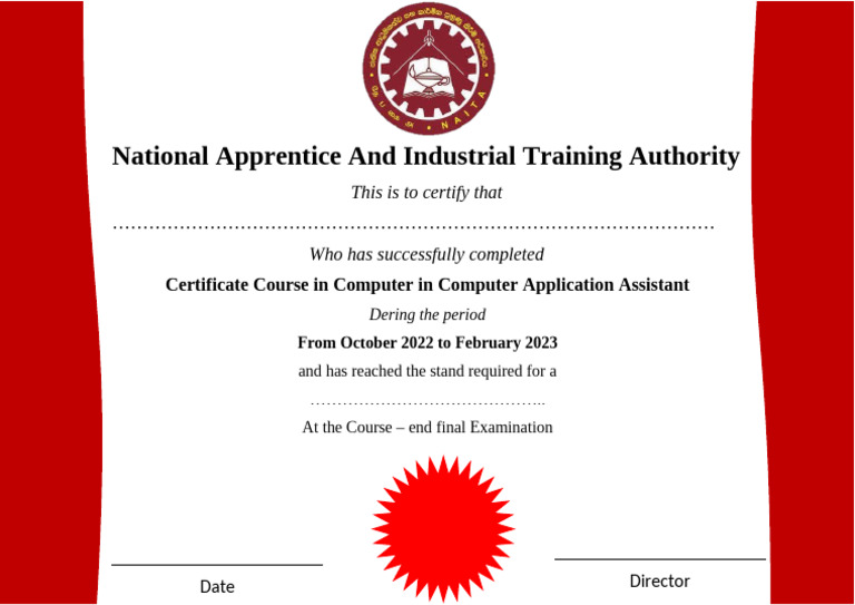 Certificate in Computer Application Assistant | PDF