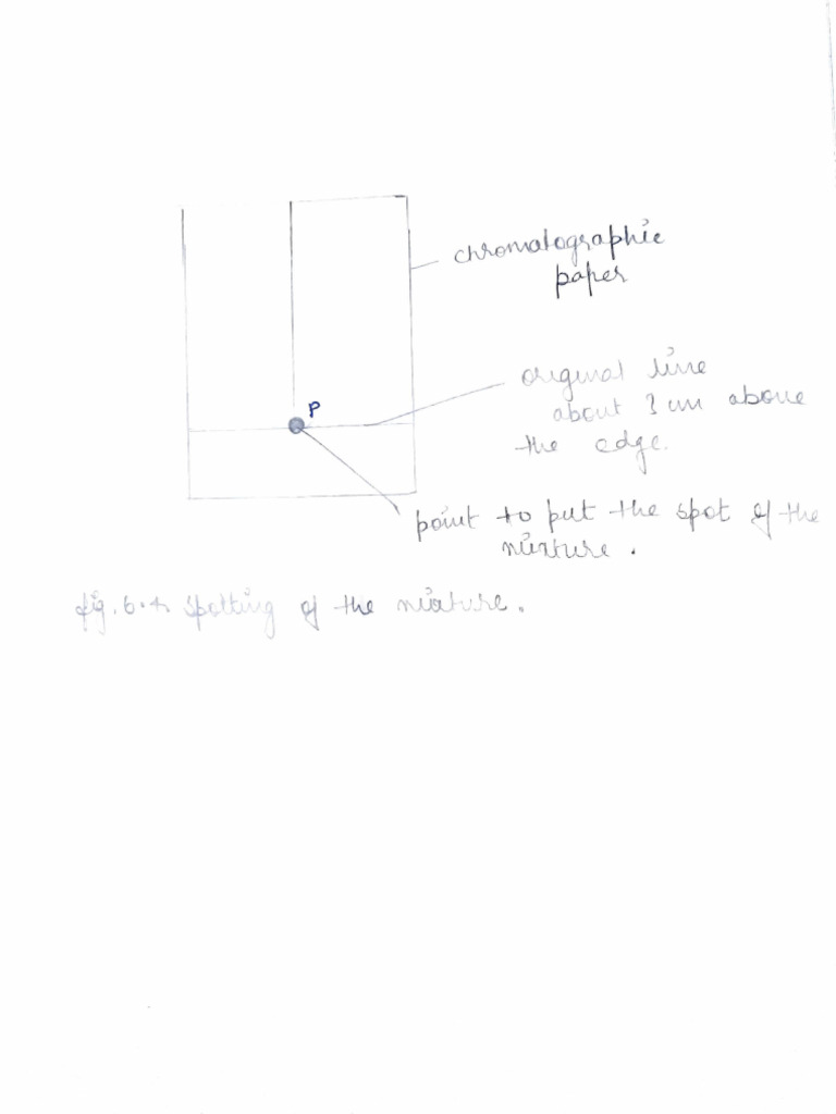Chemistry Practicals Pdf