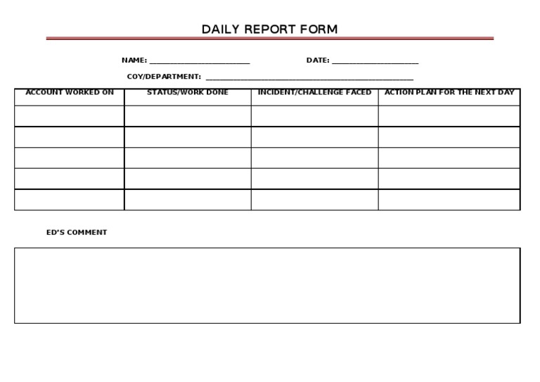 Daily Report Form Template | PDF