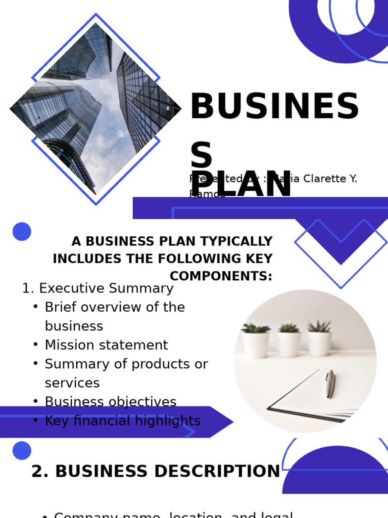 Comprehensive Business Plan Overview | PDF