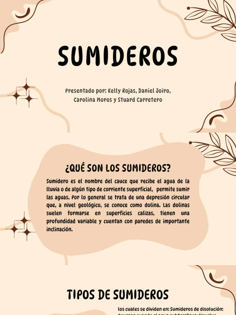 Tipos y formación de sumideros geológicos | PDF | Sumidero | Agua ...