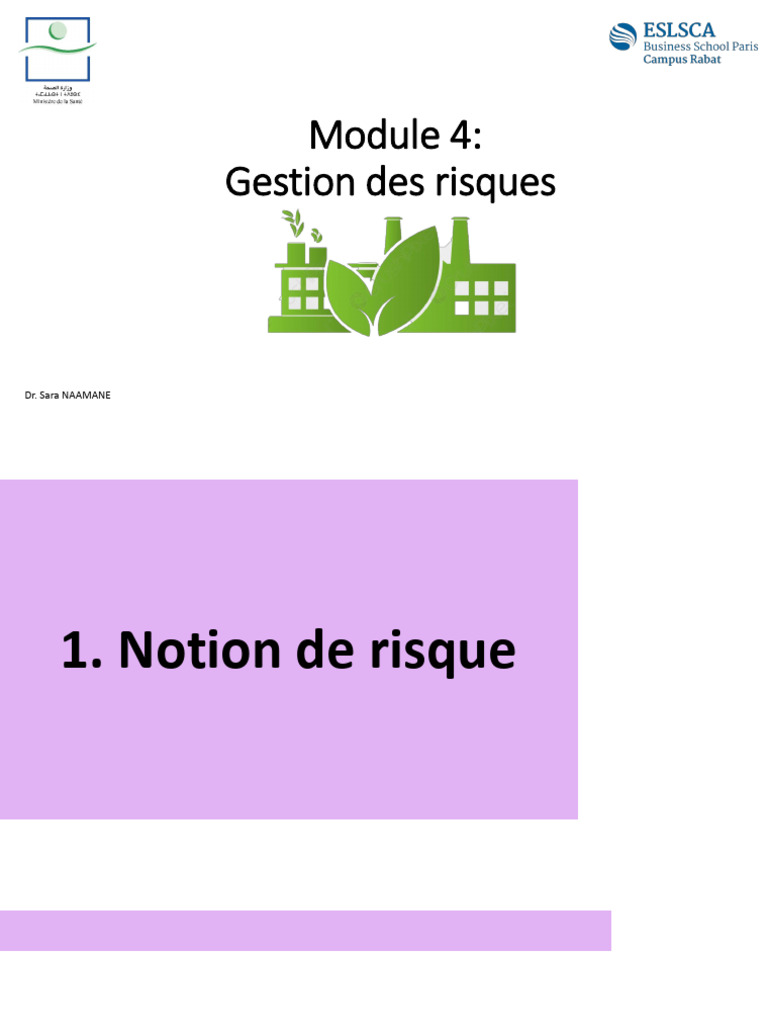 Gestion des Risques en Santé | PDF | Risque | Gestion des risques
