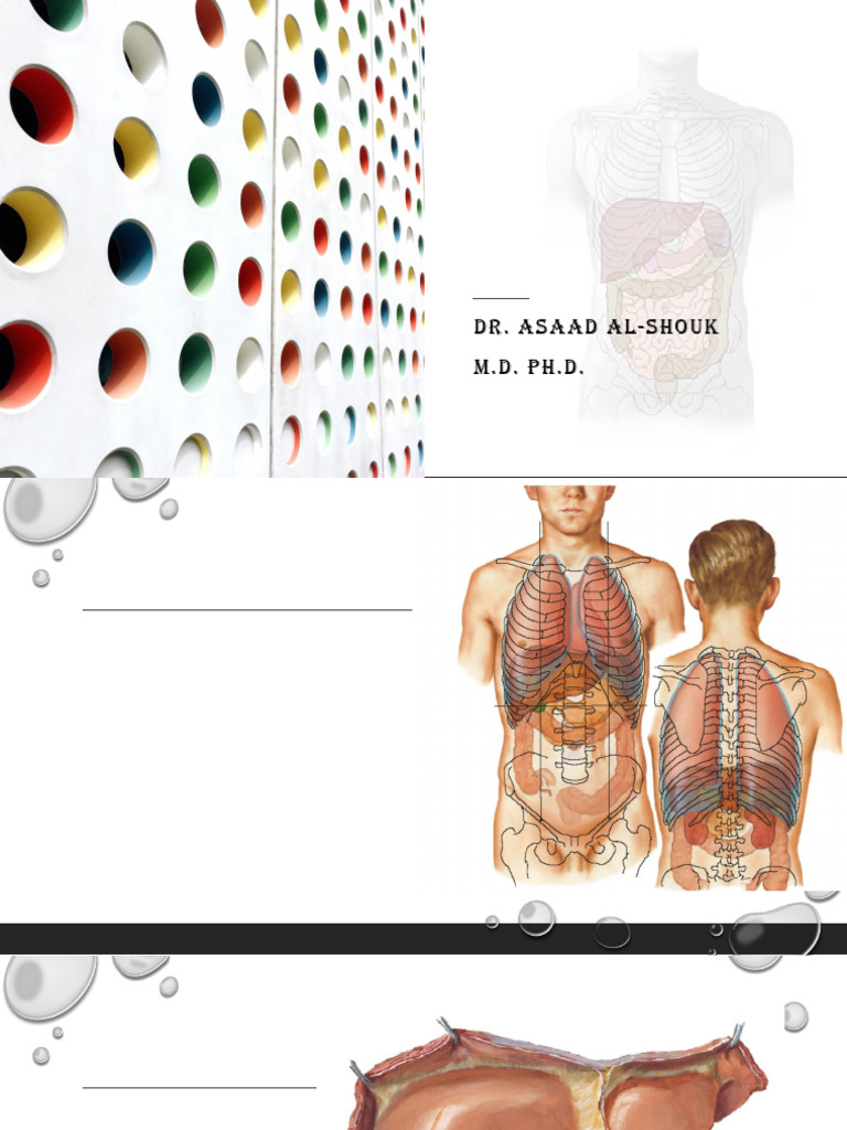 Liver and Biliary System: Dr. Asaad Al-Shouk M.D. PH.D | PDF ...