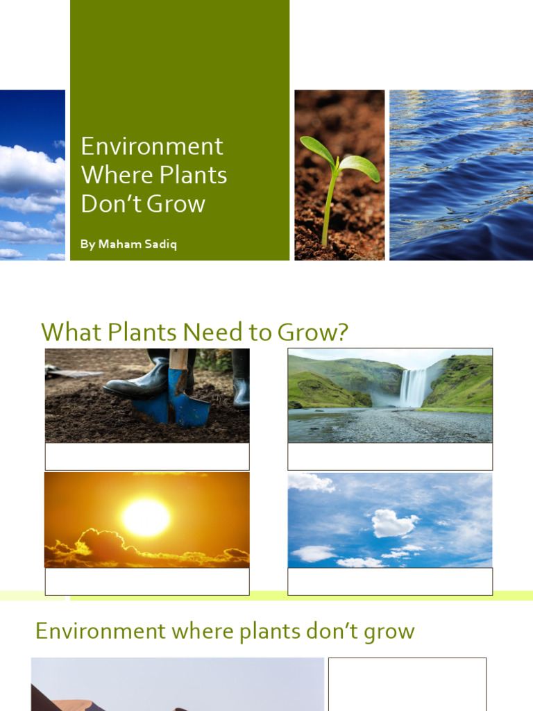 Environment Where Plants Don't Grow | PDF