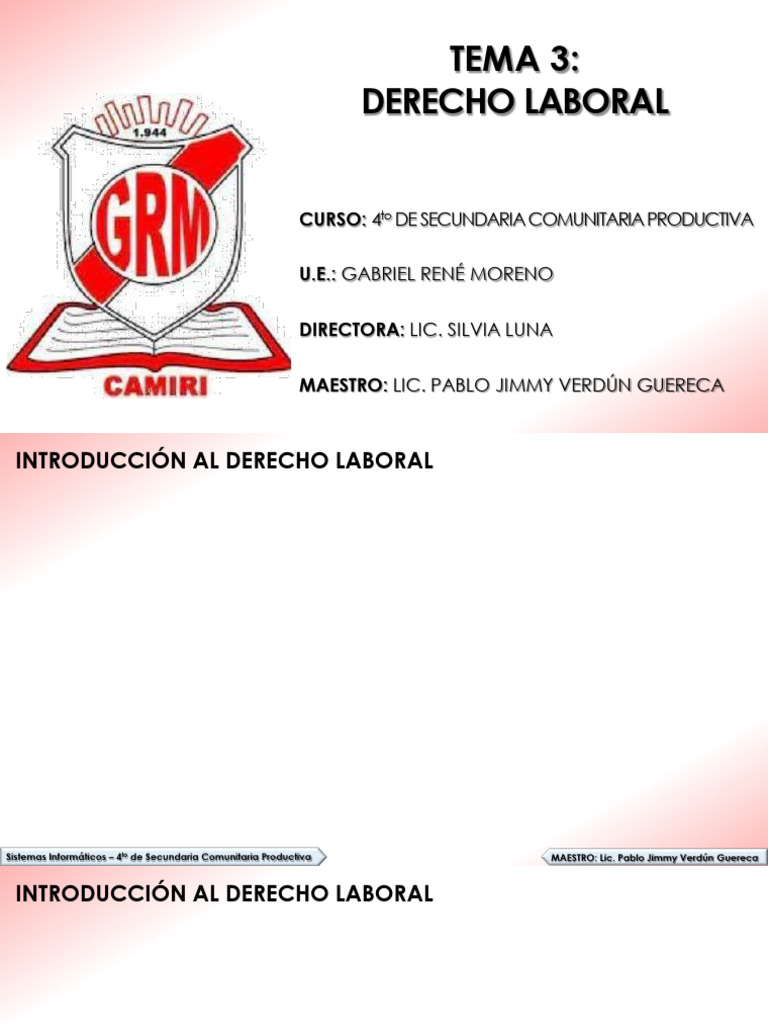 Derechos Laborales en Bolivia | PDF | Derecho laboral | Salario