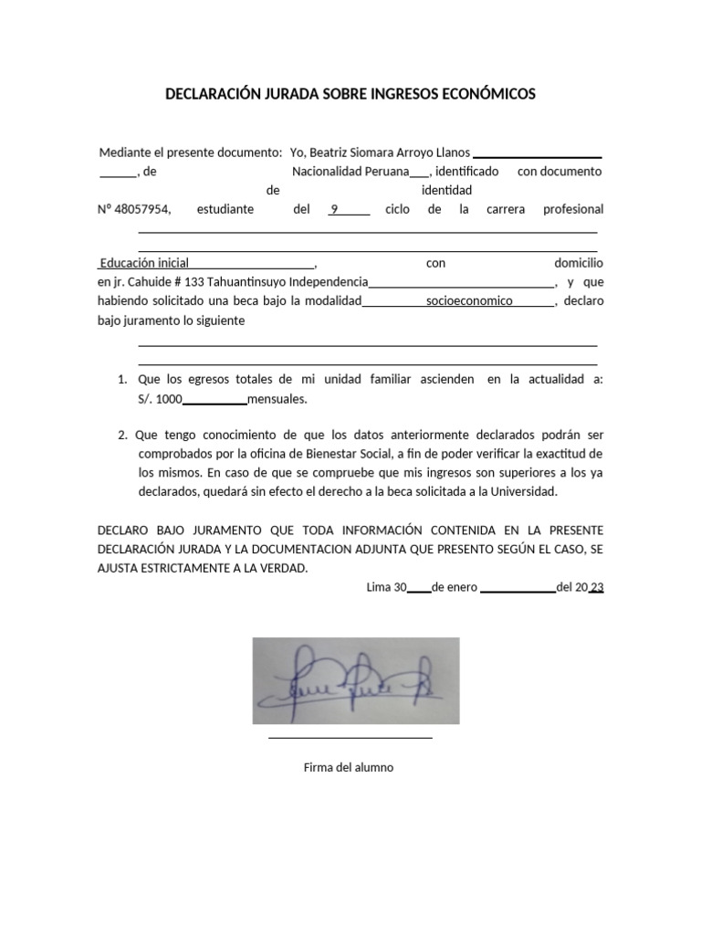 Declaración Jurada de Ingresos Económicos | PDF