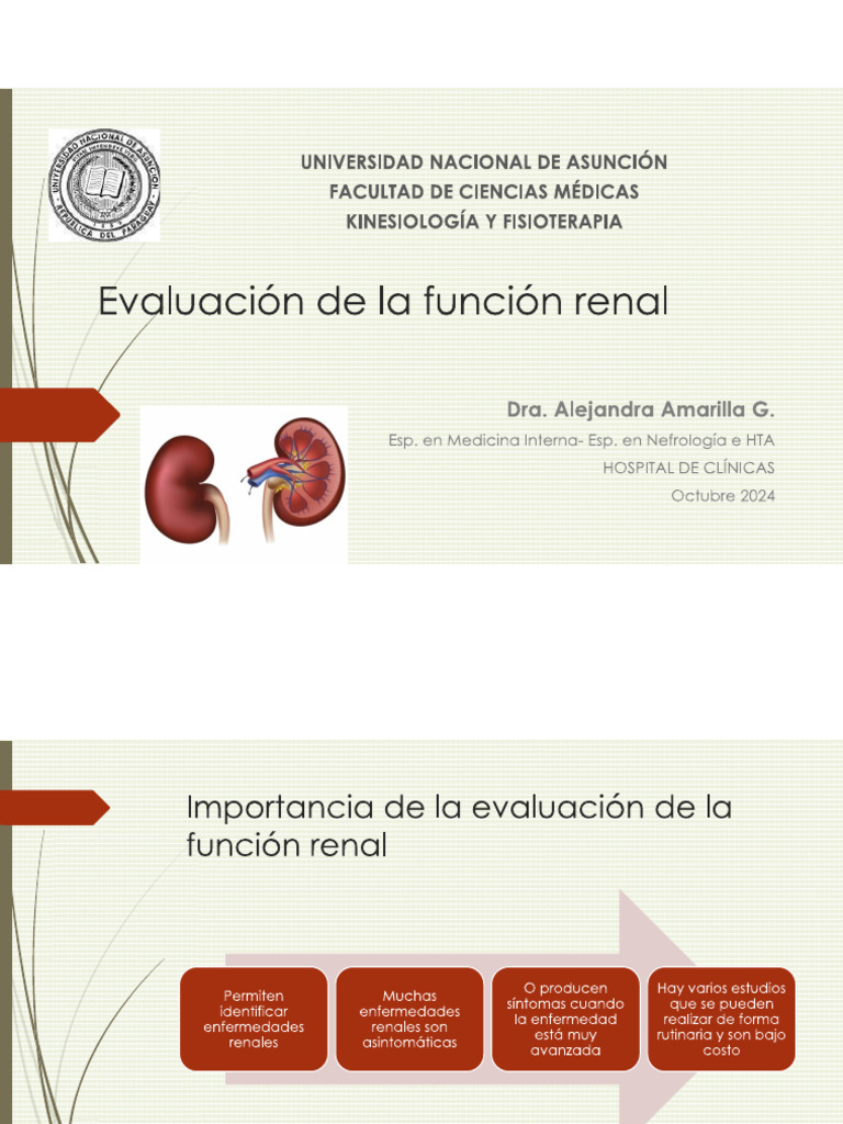 Riñon 2 | PDF