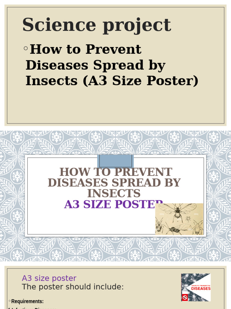 Insects Poster ME | PDF