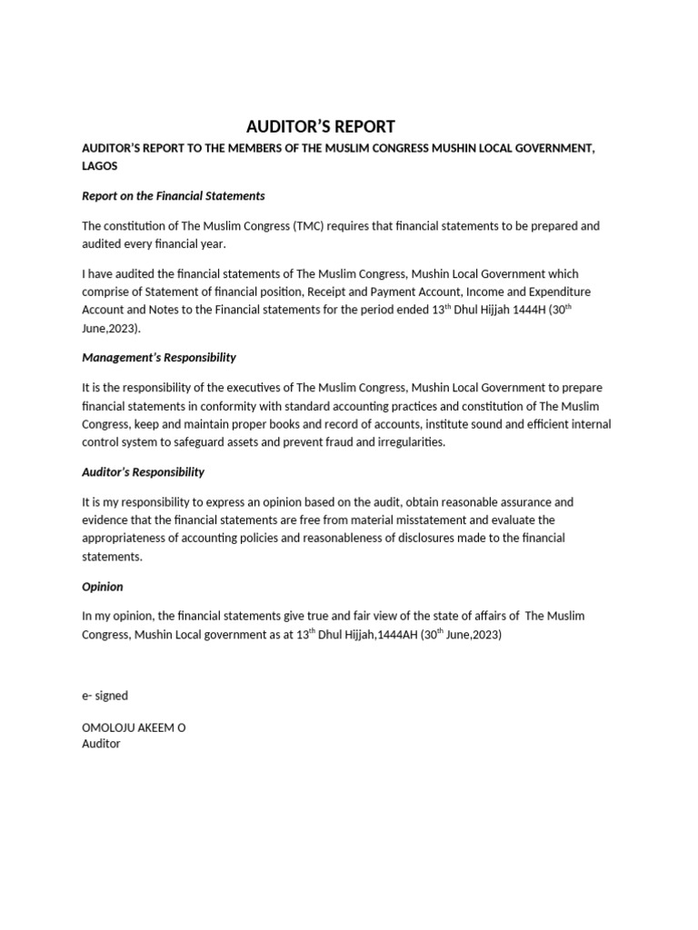 AUDITOR'S REPORT | PDF