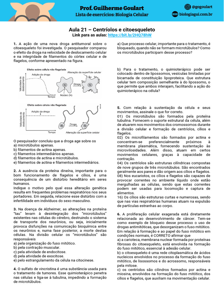 Efeitos de Nova Droga Antitumoral no Citoesqueleto | PDF | Célula ...