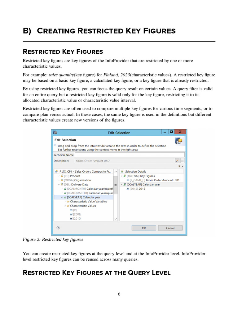 How to Create Restricted Key Figures | PDF