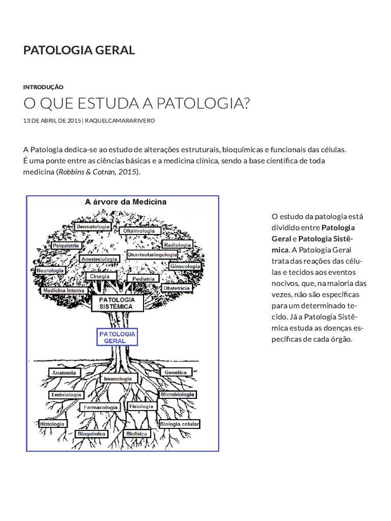 O Estudo da Patologia e Suas Divisões | PDF