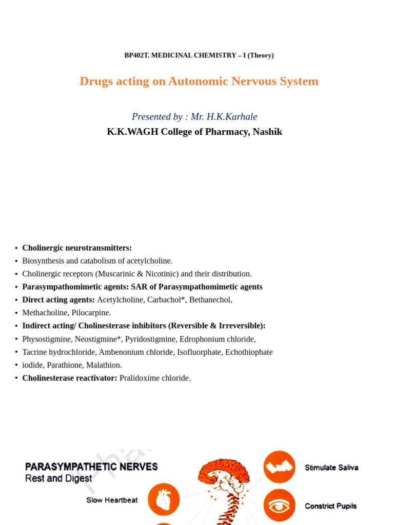 Autonomic Nervous System Drugs Overview | PDF | Acetylcholine | Cell ...