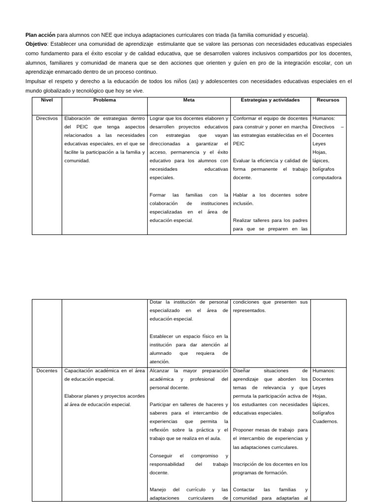 Plan de Inclusión Educativa NEE | PDF | Enseñando | Educación especial