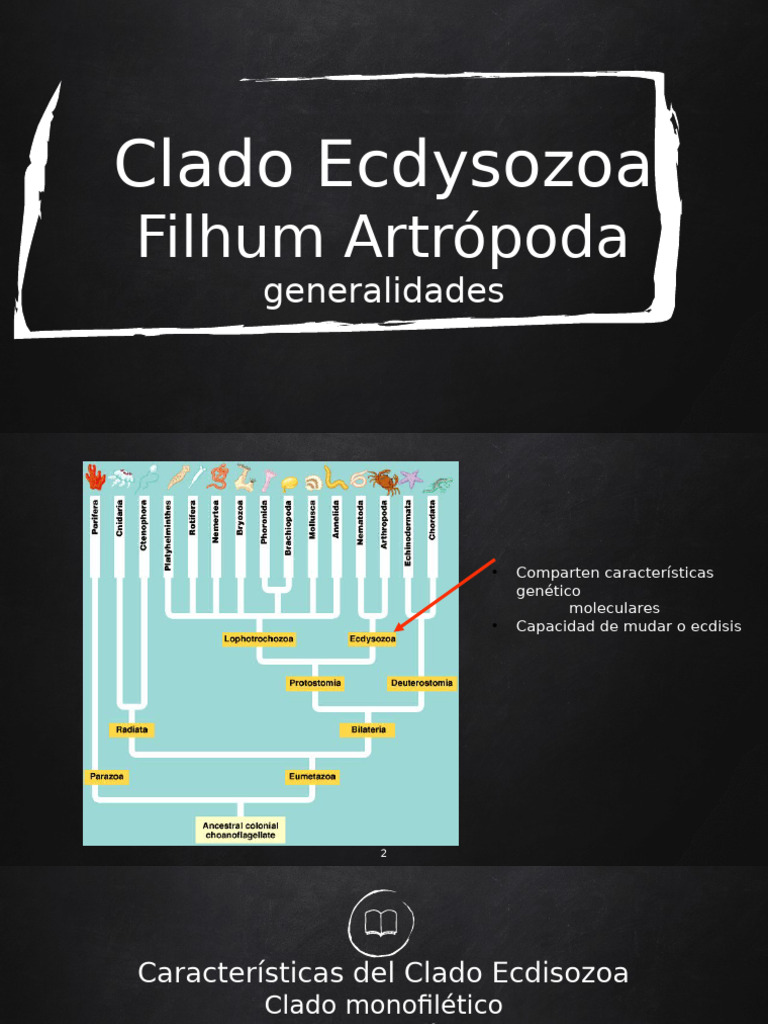 Características del Clado Ecdysozoa | PDF | Biología | Zoología