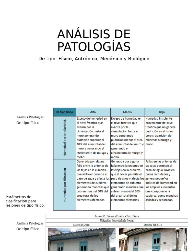 Analisis de Patologias | PDF