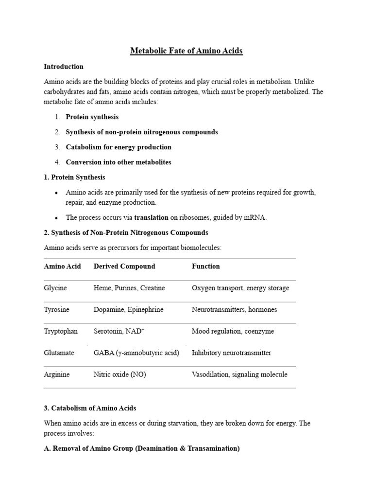 Metabolic Fate of Amino Acids Explained | PDF | Metabolism | Biosynthesis