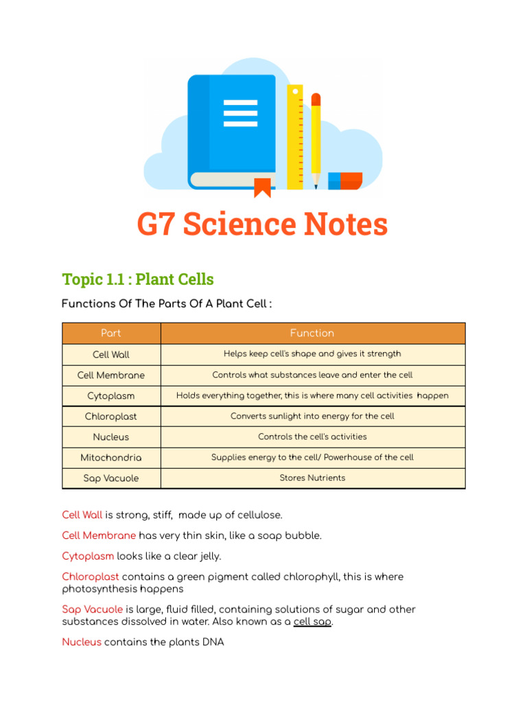 Functions of Plant and Animal Cells | PDF | Cell (Biology) | Planets