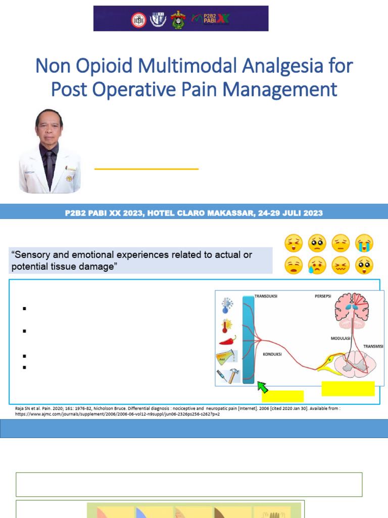 Non-Opioid Pain Management Strategies | PDF | Analgesic | Nonsteroidal ...