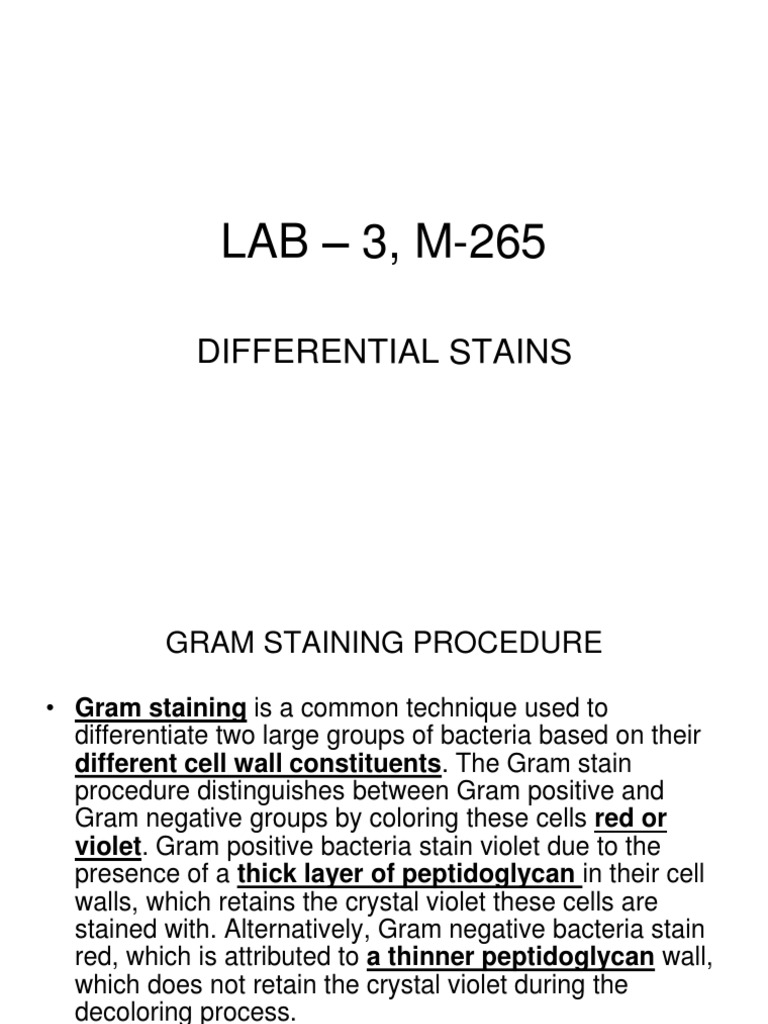 Gram Staining Procedure Explained | PDF | Staining | Gram Positive Bacteria