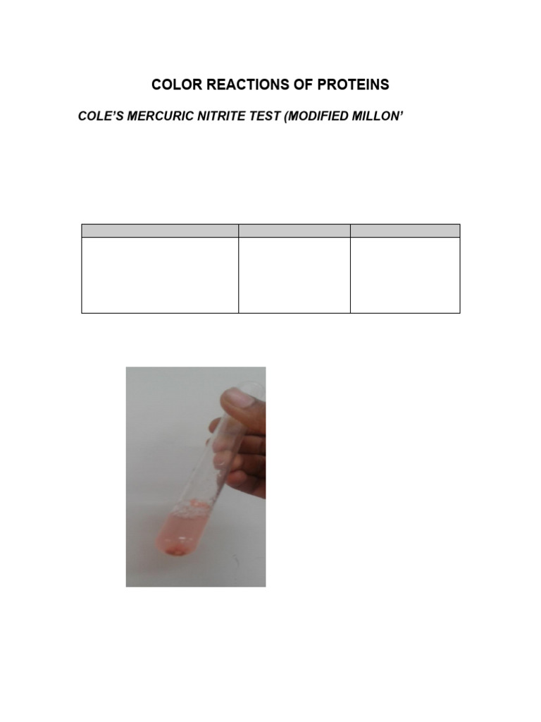 Colour Reaction of Protiens - Part Two | PDF | Sulfuric Acid | Formaldehyde
