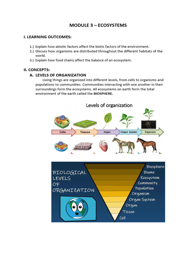 Module 3 - Ecosystems | PDF | Ecosystem | Grassland
