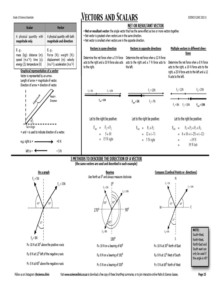 Understanding Scalars and Vectors | PDF | Euclidean Vector | Force