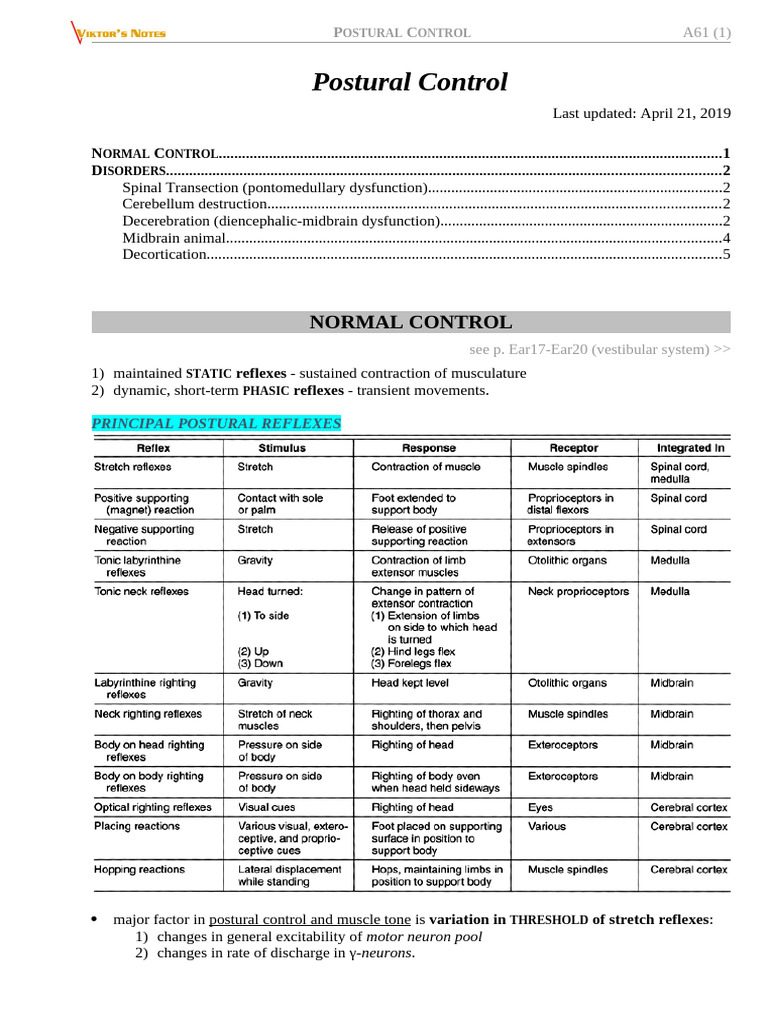 A61. Postural Control | PDF | Neuroscience | Nervous System