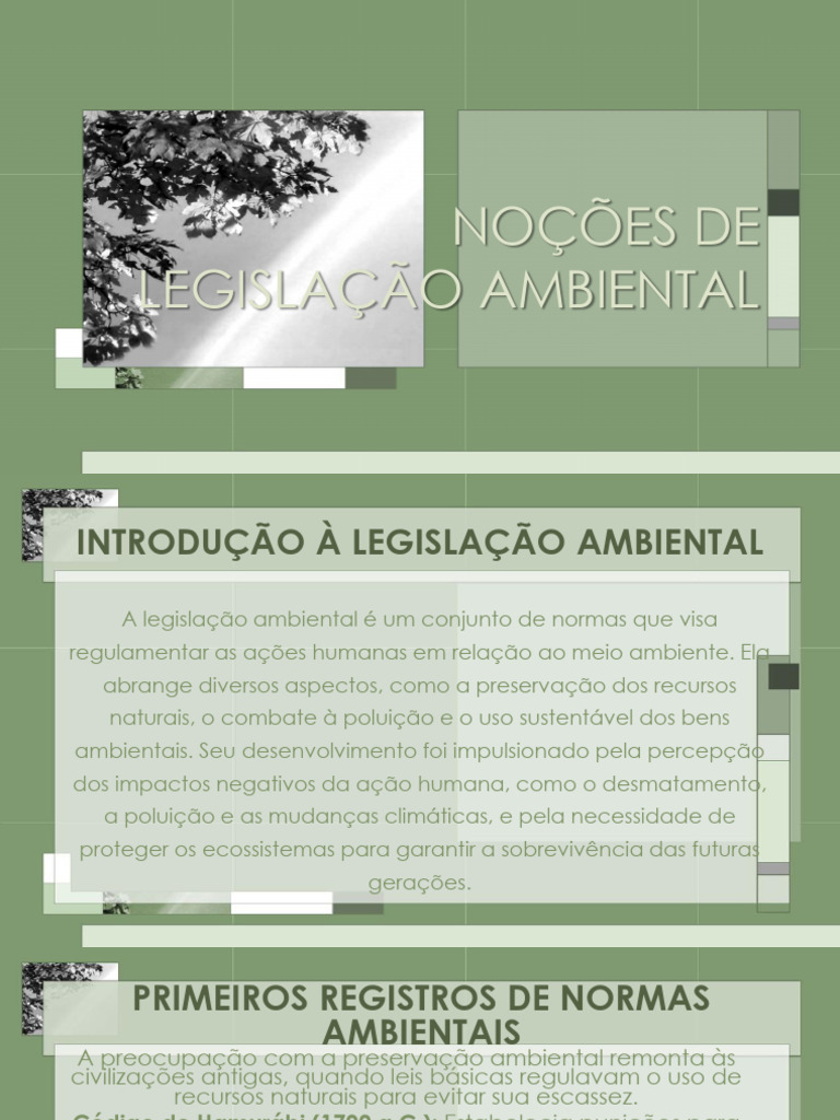 Evolução da Legislação Ambiental | PDF | Sustentabilidade | Direito ...
