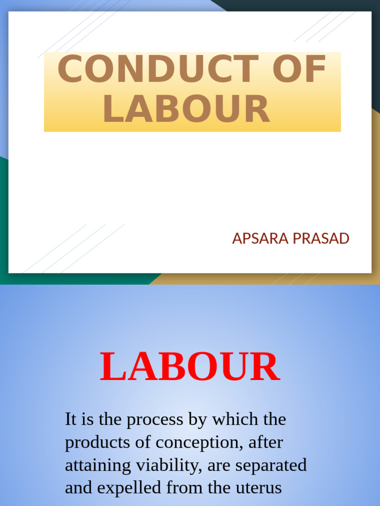 Comprehensive Guide to Labour Stages | PDF | Childbirth | Preterm Birth