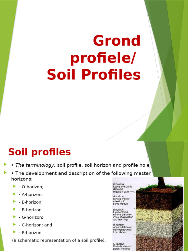 Soil Profile and Horizon Overview | PDF | Natural Materials | Earth ...