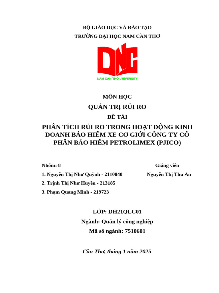 Nhom 8 Phan Tich Rui Ro BHXCG Cty Petrolimex (Pjico) | PDF
