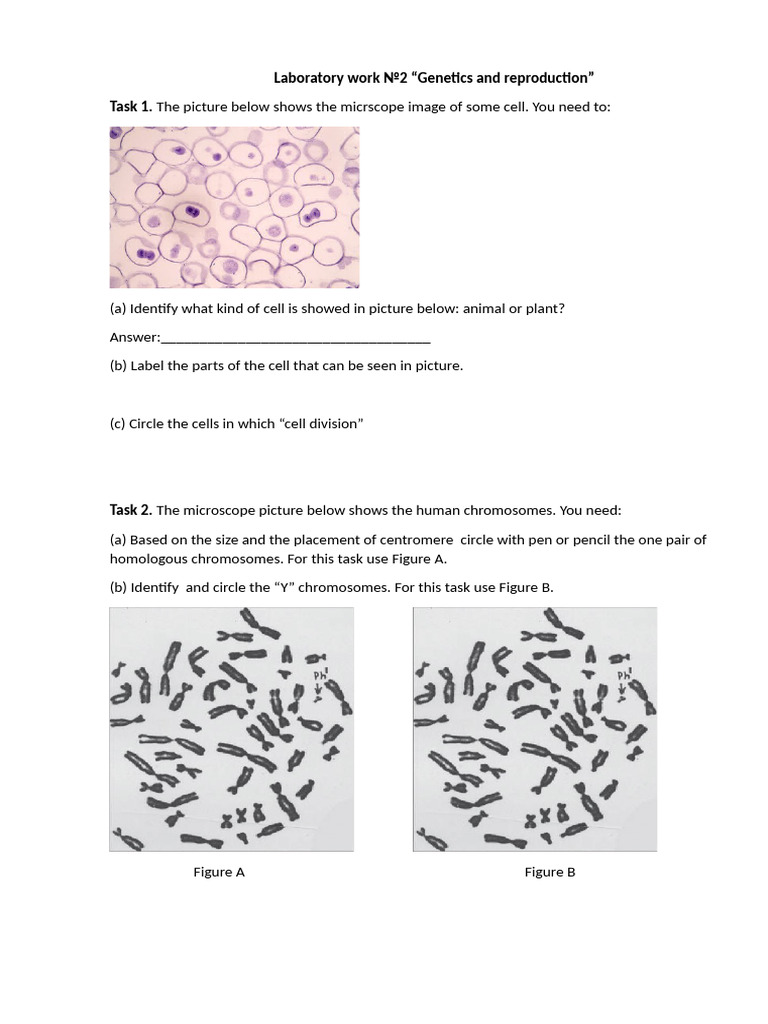 Reproduction And Genes Pdf