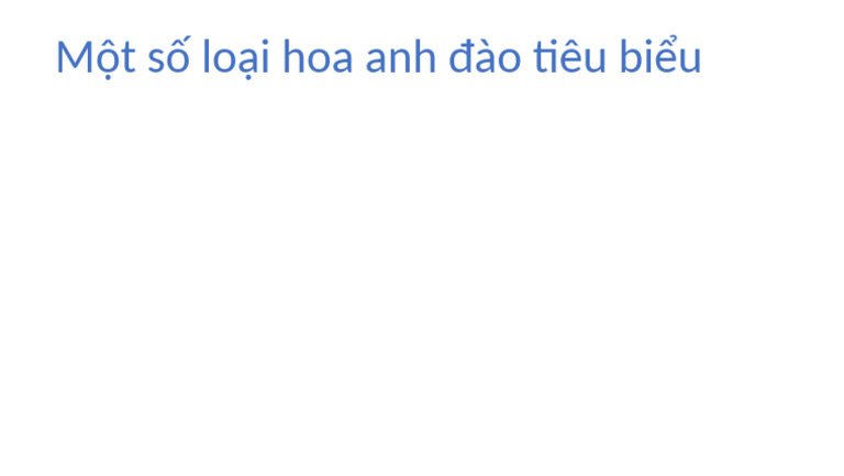 PP 1 | PDF
