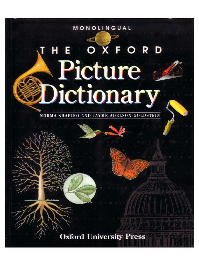 Picture Dictionary | PDF